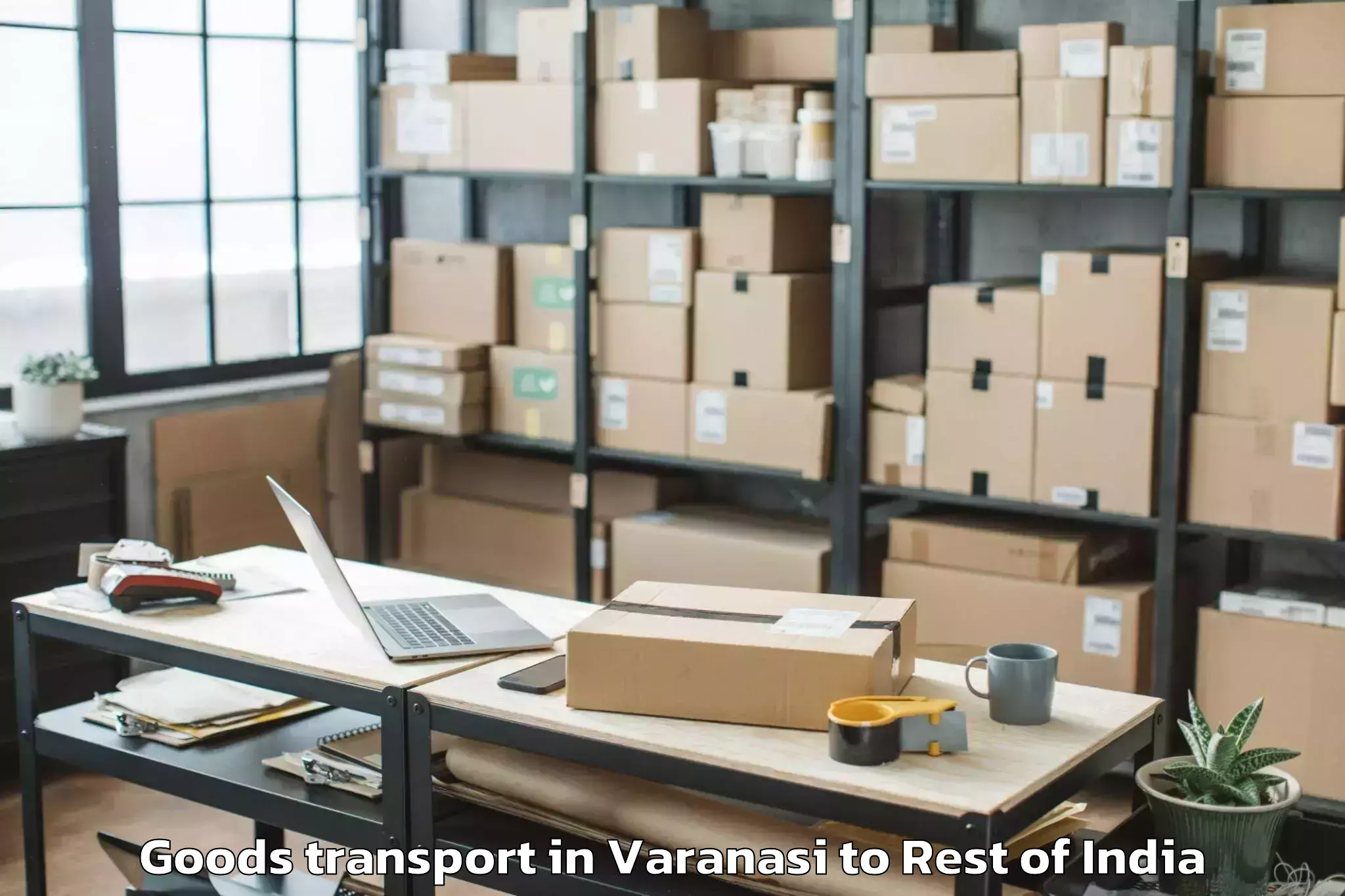 Top Varanasi to Bambor Goods Transport Available